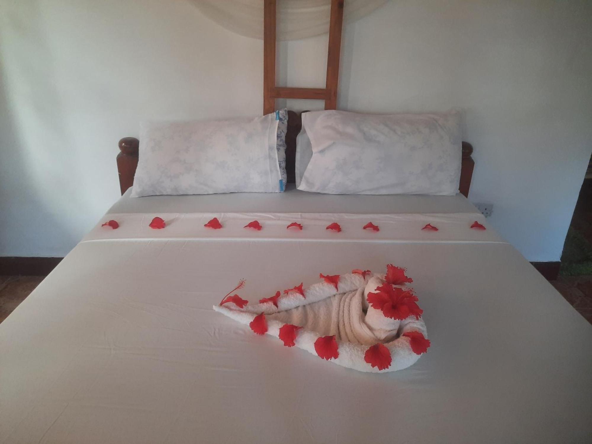 Ames Nungwi Bed & Breakfast Eksteriør bilde